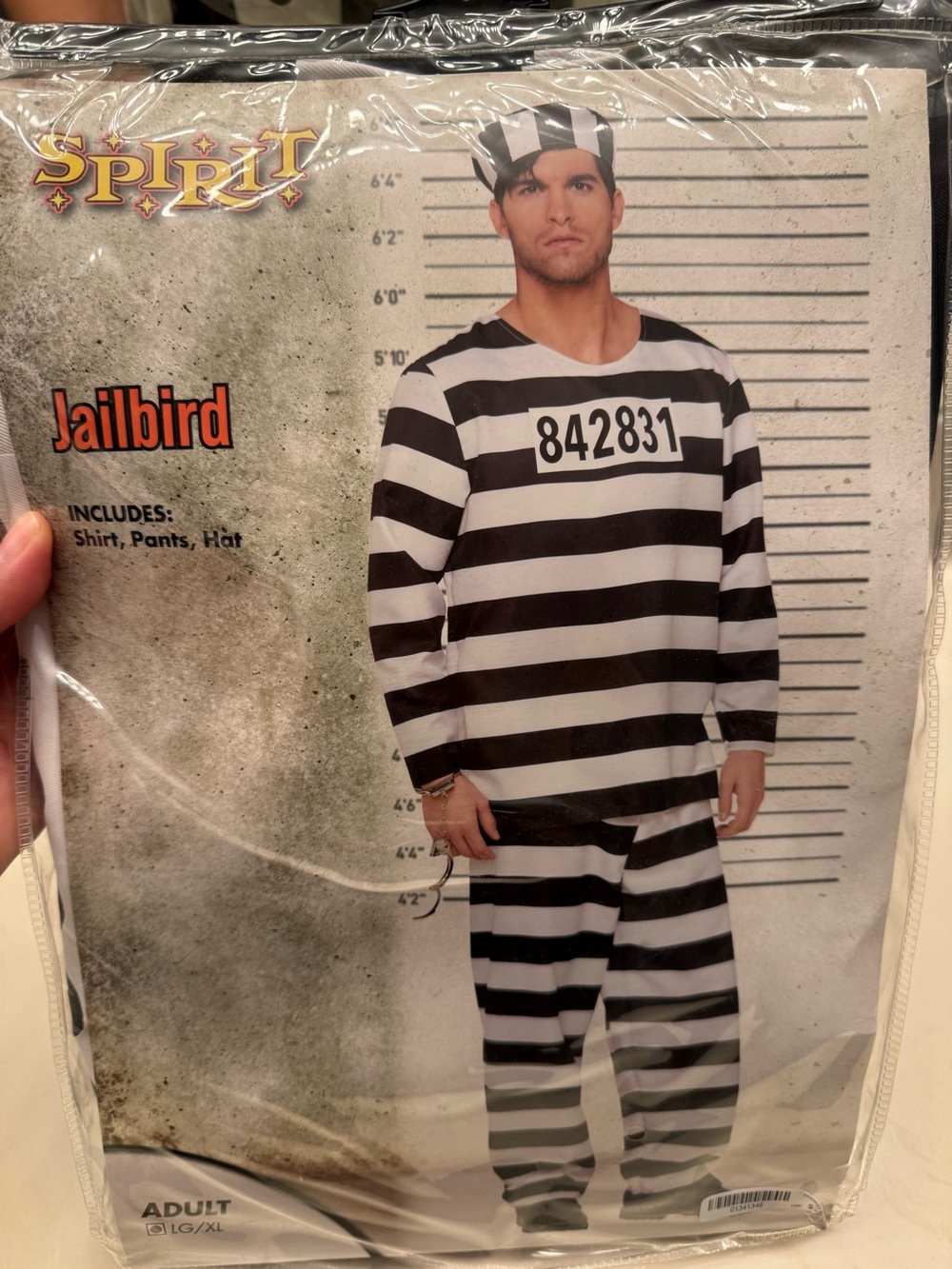 Spirit Jailbird Black & White Striped Adult Costume